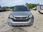 2007 Honda Cr-V Exl იყიდება West Warren-ში, MA - Rear End