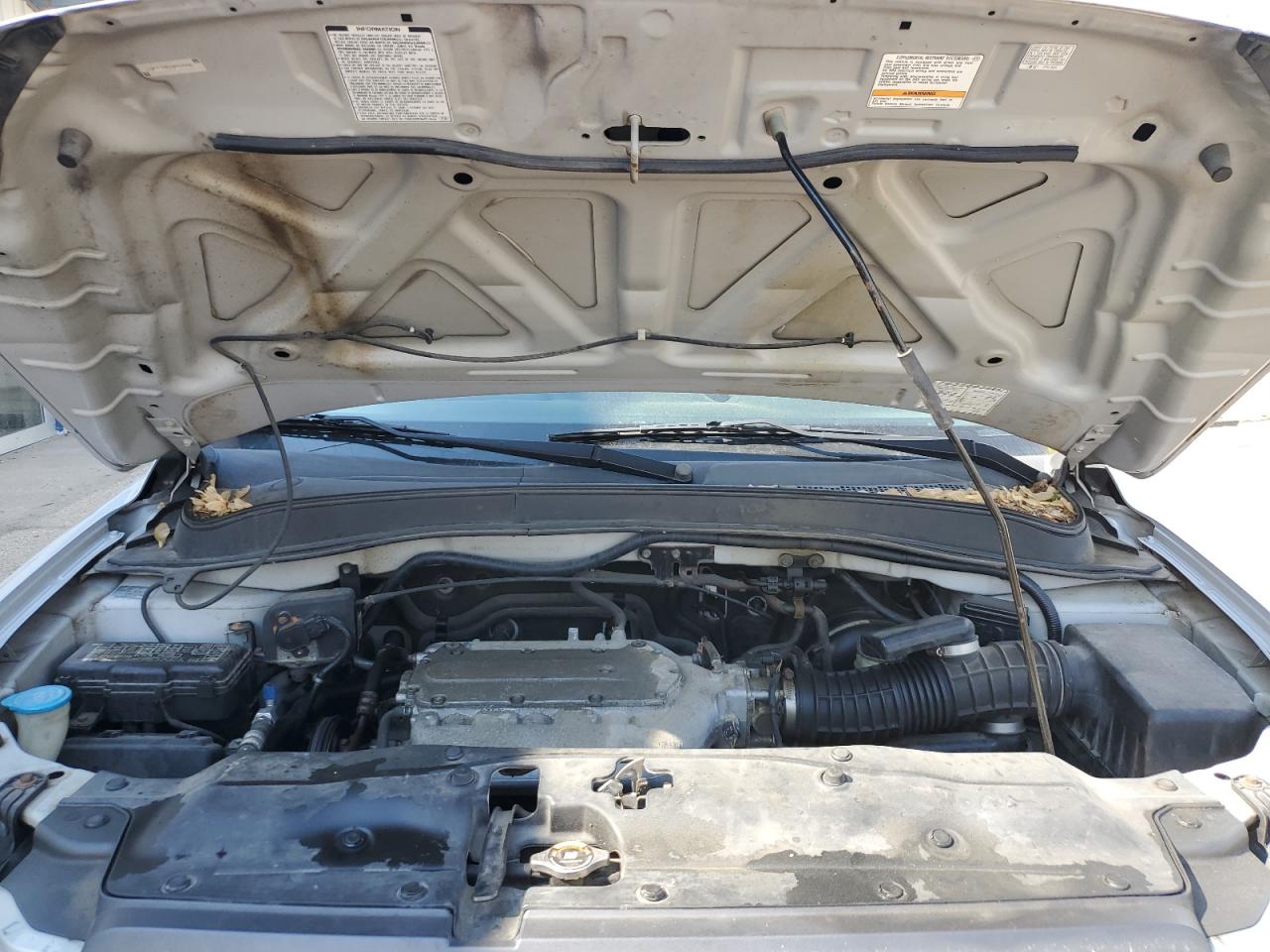 2005 Honda Pilot Exl VIN: 2HKYF18535H535681 Lot: 56692385