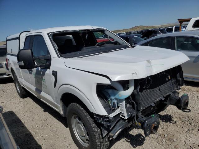  FORD F-150 2021 Белый
