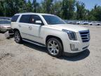 2015 Cadillac Escalade Luxury zu verkaufen in Riverview, FL - Rear End
