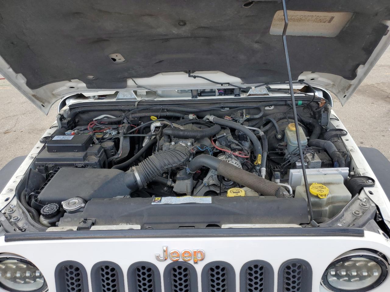 2010 Jeep Wrangler Unlimited Rubicon VIN: 1J4BA6H10AL176014 Lot: 57092255