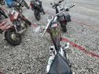 2005 Pro1 Chopper იყიდება Loganville-ში, GA - Minor Dent/Scratches