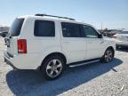 2015 Honda Pilot Exl იყიდება Riverview-ში, FL - Front End
