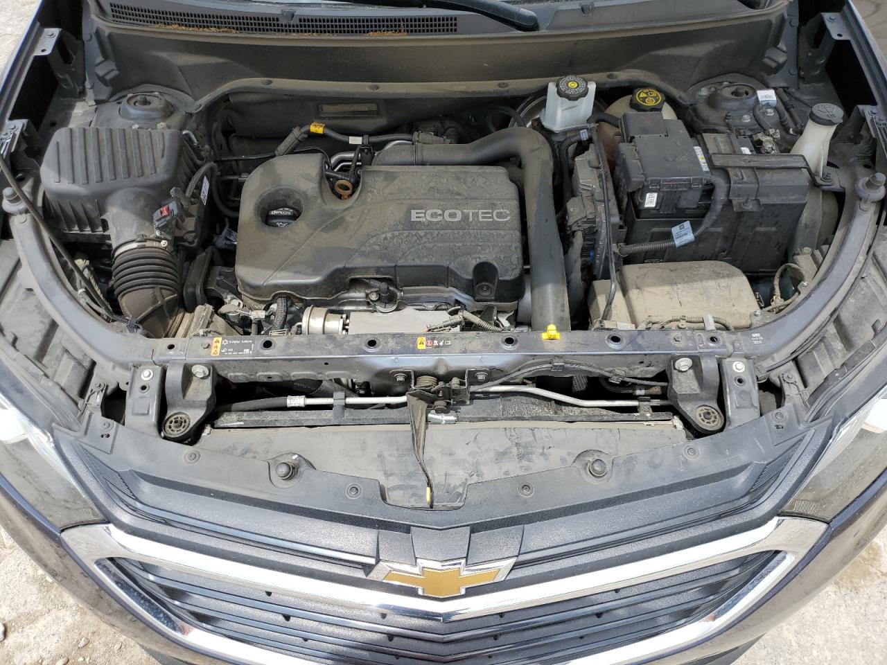 2019 Chevrolet Equinox Ls VIN: 3GNAXHEV1KS519600 Lot: 56973815