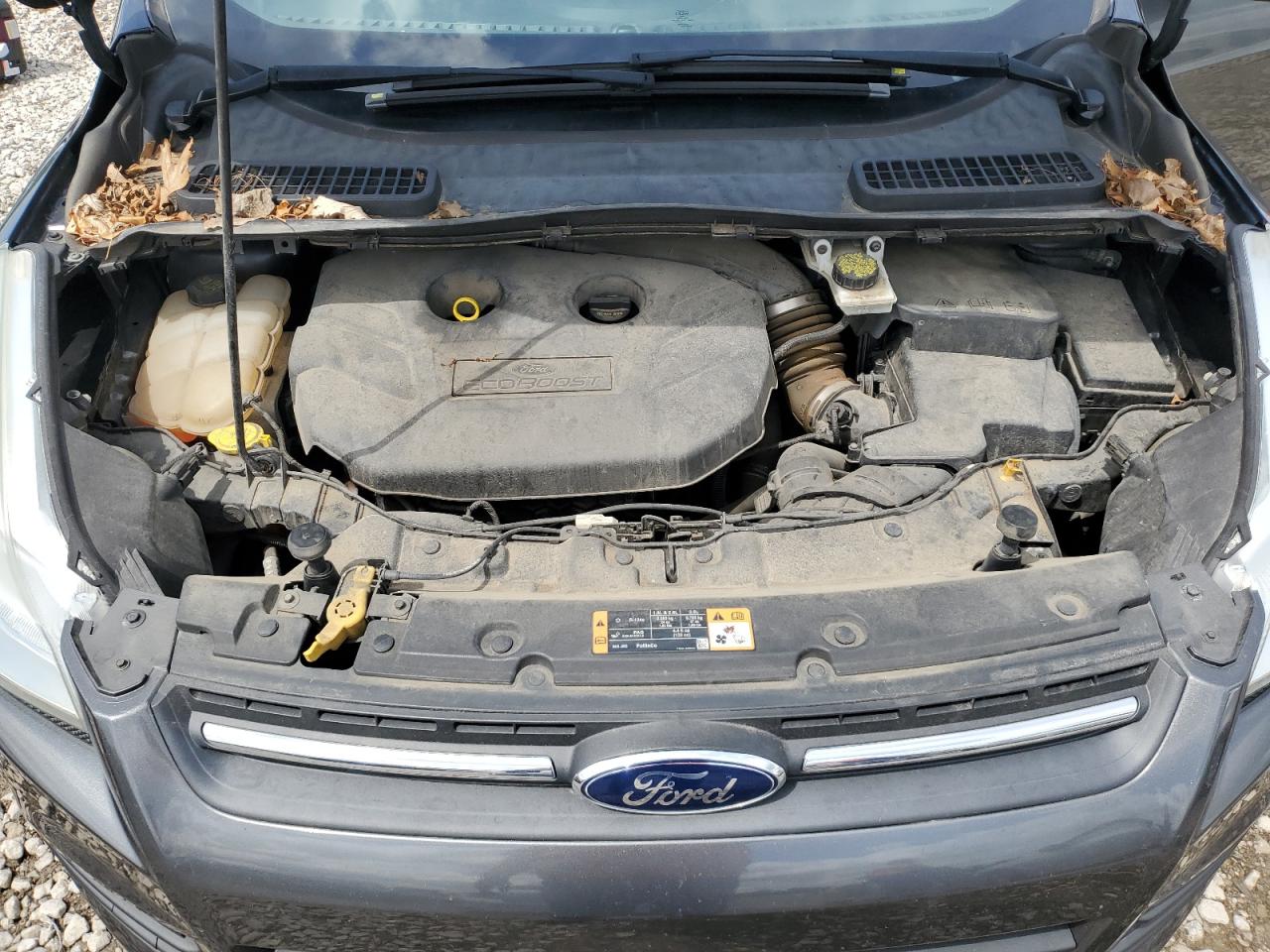 2016 Ford Escape Se VIN: 1FMCU9G95GUB48539 Lot: 57028905