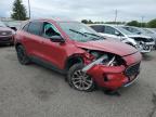 2022 Ford Escape Se на продаже в Ham Lake, MN - Front End