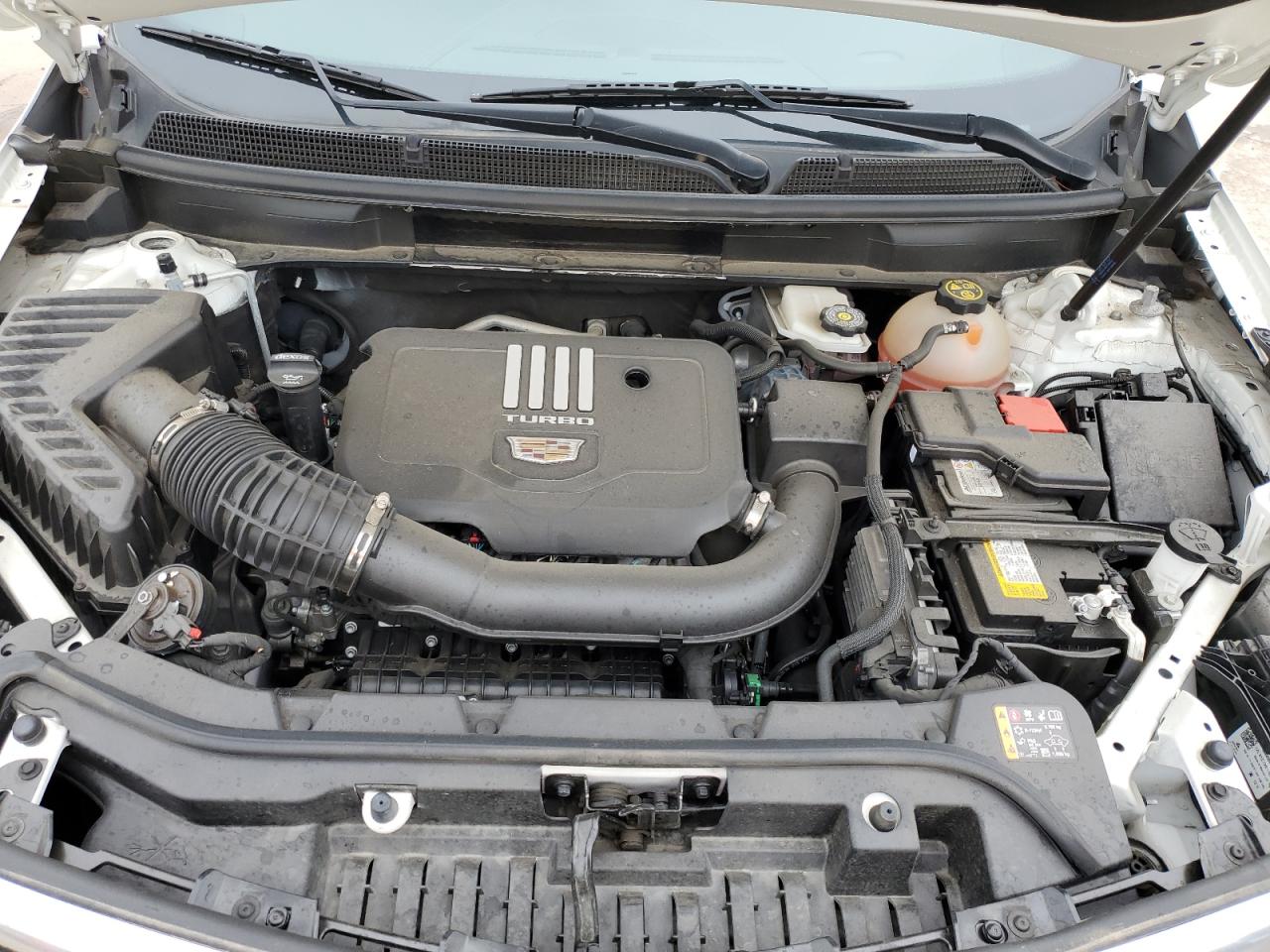 2022 Cadillac Xt5 Premium Luxury VIN: 1GYKNCR40NZ169952 Lot: 54323085