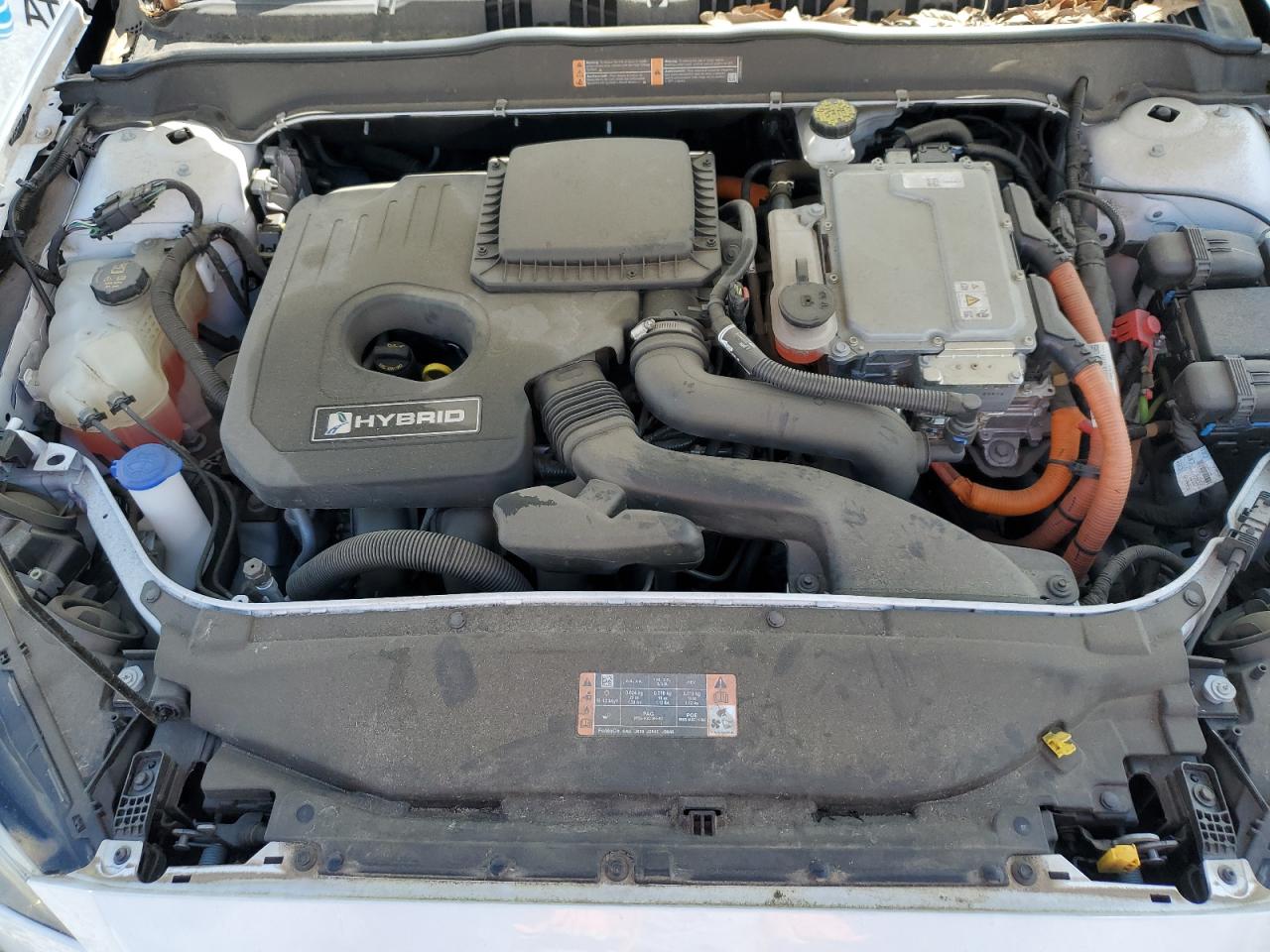 2019 Ford Fusion Se VIN: 3FA6P0LU0KR184062 Lot: 54031585