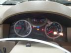 2011 Ford Escape Limited იყიდება Ham Lake-ში, MN - Front End