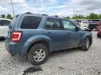 2011 Ford Escape Limited de vânzare în Wayland, MI - Front End