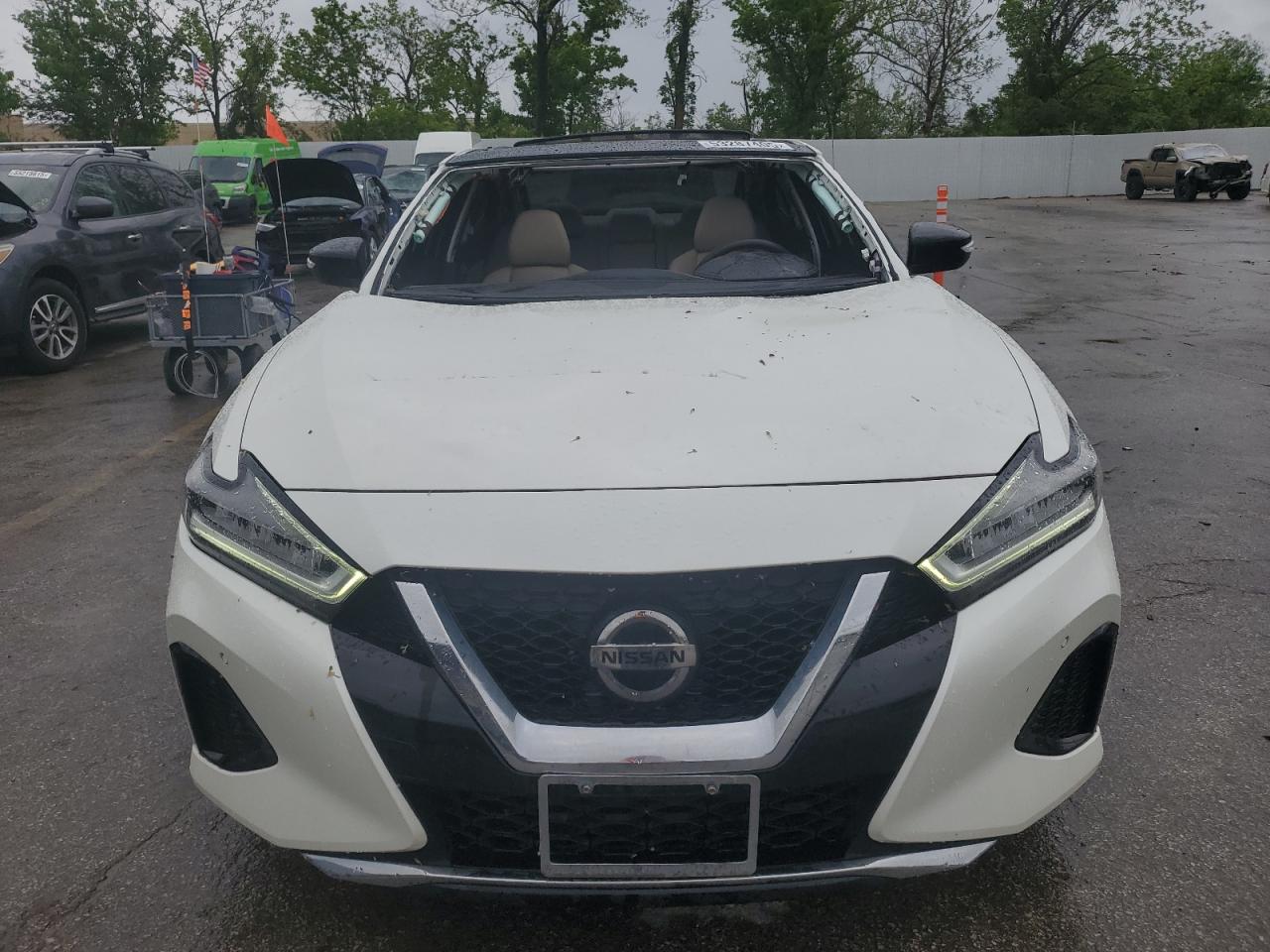 1N4AA6AV0KC371116 NISSAN MAXIMA 2019
