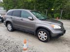 2009 Honda Cr-V Exl for Sale in Northfield, OH - Rear End