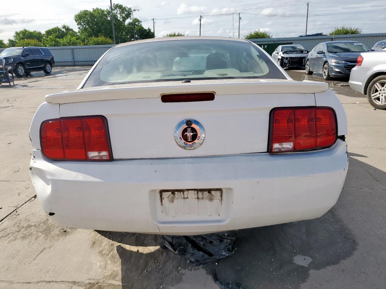 2009 Ford Mustang VIN: 1ZVHT80N695139910 Lot: 58640245