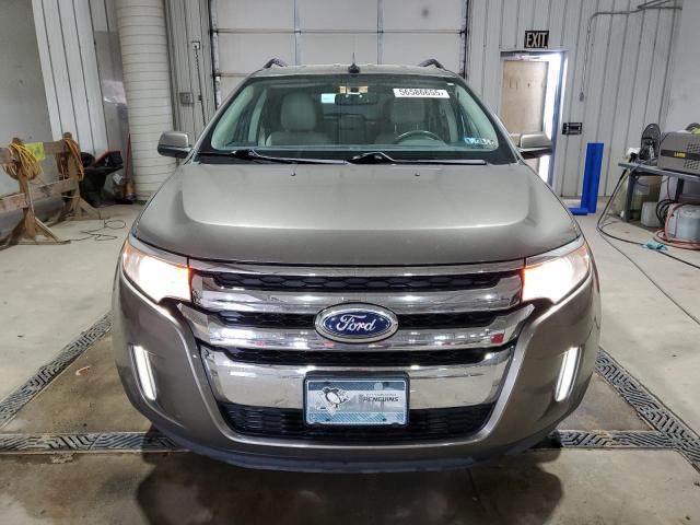  FORD EDGE 2014 Złoty