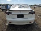 2021 TESLA MODEL 3    à vendre chez Copart ON - COOKSTOWN