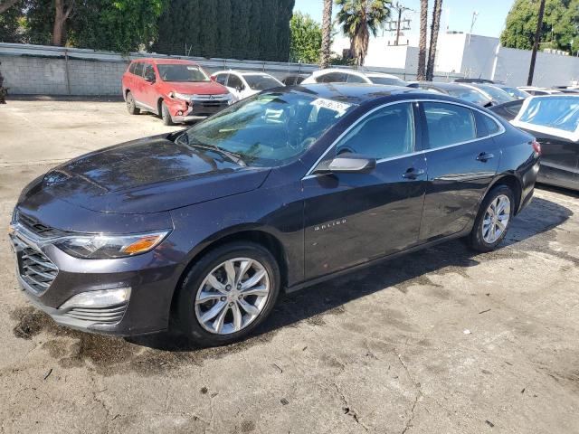  CHEVROLET MALIBU 2023 Gray