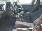 2016 Toyota Rav4 Xle за продажба в Bridgeton, MO - Hail