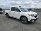 Airway Heights, WA에서 판매 중인 2019 Honda Ridgeline Rtl - All Over