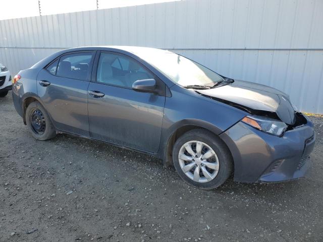  TOYOTA COROLLA 2016 Сірий