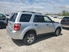 2010 Ford Escape Xlt for Sale in Wayland, MI - Front End