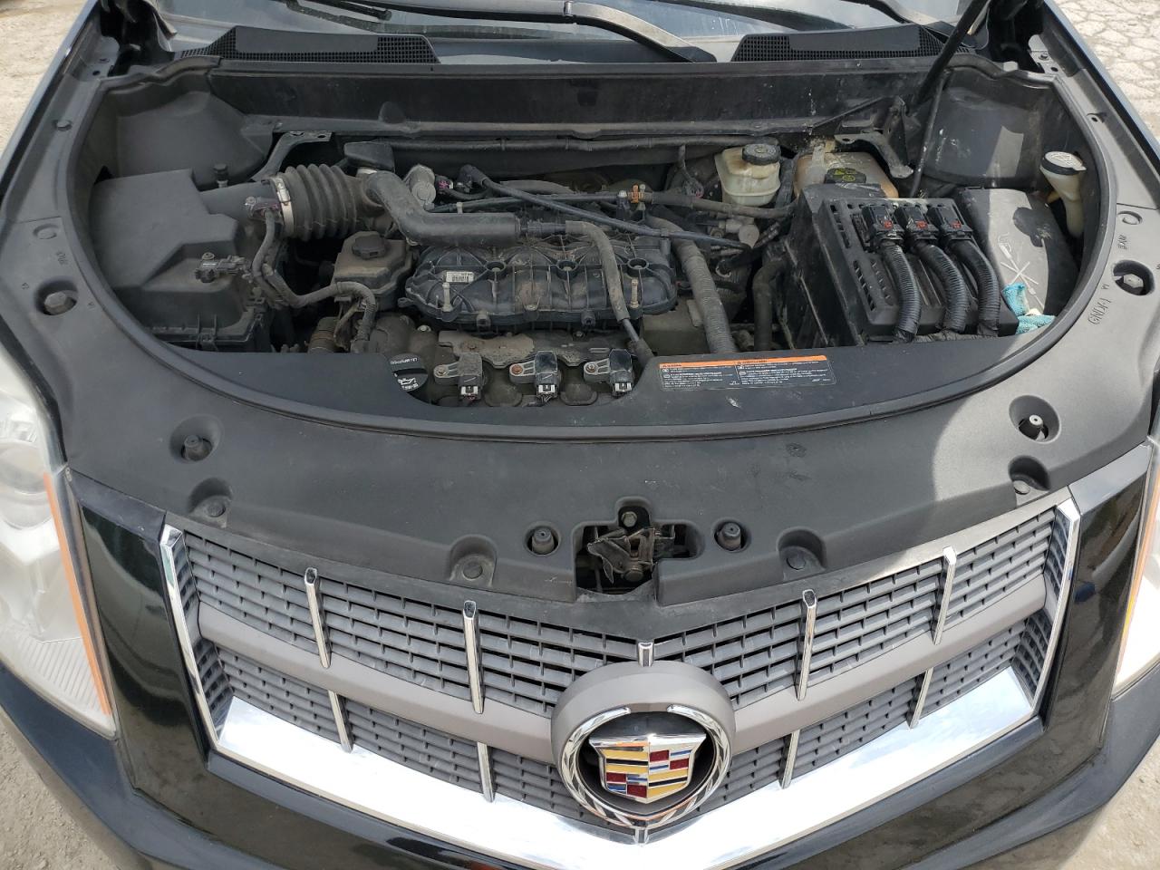 2010 Cadillac Srx Luxury Collection VIN: 3GYFNDEY6AS539650 Lot: 56897245