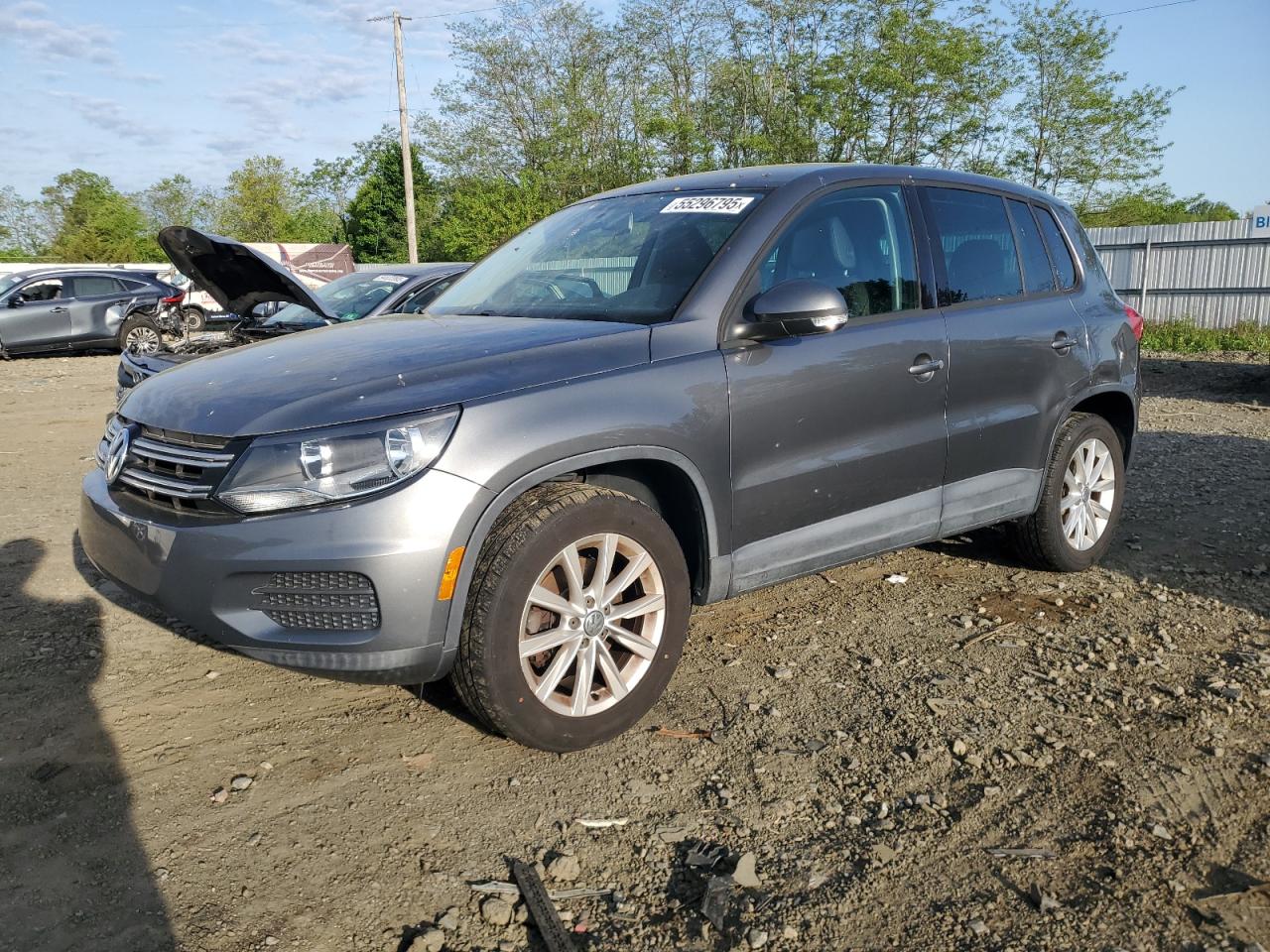 2014 Volkswagen Tiguan S იყიდება Windsor-ში, NJ - Rear End
