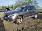 2014 Volkswagen Tiguan S იყიდება Windsor-ში, NJ - Rear End