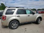 2010 Ford Escape Xlt for Sale in Pekin, IL - Front End