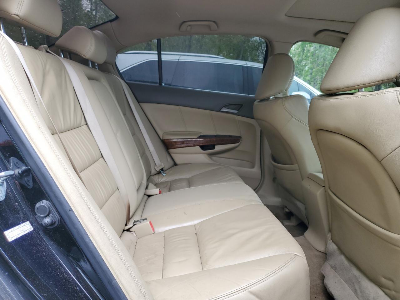 2008 Honda Accord Exl VIN: 1HGCP36898A805204 Lot: 55973635