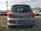 2014 Volkswagen Tiguan S იყიდება Windsor-ში, NJ - Rear End