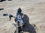 2019 Harley-Davidson Fxlr  for Sale in Rogersville, MO - Front End