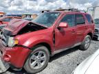 2009 FORD ESCAPE LIMITED for sale at Copart QC - MONTREAL