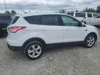 2014 Ford Escape Se for Sale in Wayland, MI - Front End