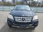 2010 Mercedes-Benz Ml 350 4Matic للبيع في Brookhaven، NY - Minor Dent/Scratches