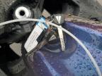 2024 Kawasaki Ex650 P for Sale in Littleton, CO - Rollover