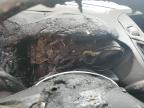 2013 Ford Escape Se na sprzedaż w Moncton, NB - Burn