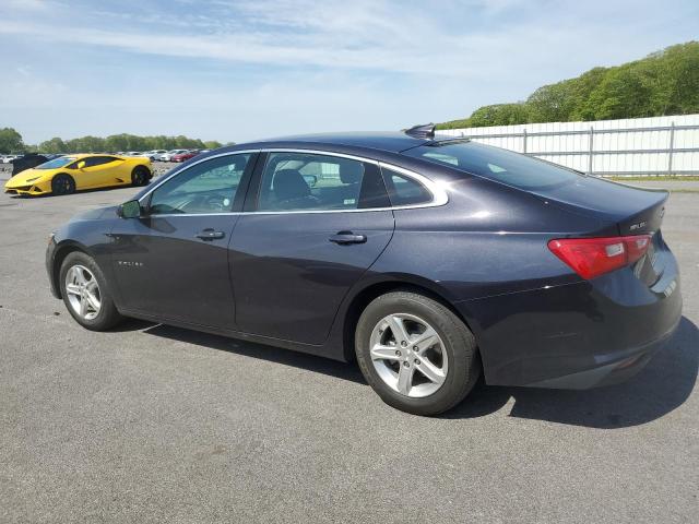  CHEVROLET MALIBU 2023 Gray