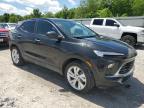 Prairie Grove, AR에서 판매 중인 2024 Buick Encore Gx Preferred - Hail