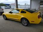 2005 Ford Mustang  for Sale in Fort Wayne, IN - Front End
