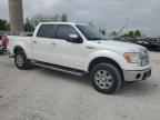 2010 Ford F150 Supercrew for Sale in Wayland, MI - Rear End