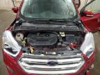 2019 Ford Escape Titanium for Sale in Ham Lake, MN - Front End