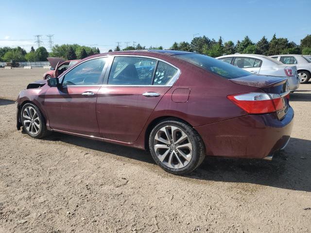  HONDA ACCORD 2013 Bordowy