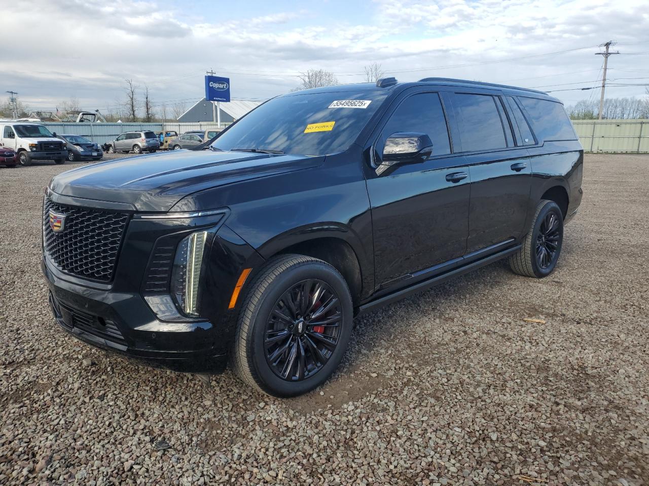 2025 Cadillac Escalade Esv Sport იყიდება Central Square-ში, NY - Front End