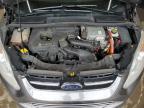 2013 Ford C-Max Sel на продаже в Ham Lake, MN - Hail