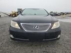 2007 Lexus Ls 460 for Sale in Earlington, KY - Hail