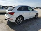 2012 Audi Q5 Premium Plus en Venta en Jacksonville, FL - All Over