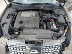 2005 Nissan Maxima Se продається в Walton, KY - Front End