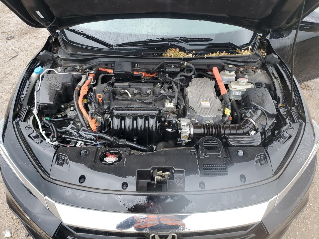 2019 Honda Insight Ex VIN: 19XZE4F53KE031790 Lot: 58304745