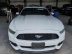 2015 Ford Mustang  for Sale in Greenwood, NE - Hail