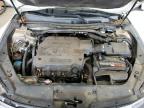 2010 Honda Accord Crosstour Exl للبيع في Lufkin، TX - Rear End